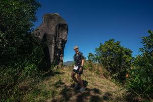 BIB: 
                            <button type="button" onclick="openModal(26576817)" class="btn btn-primary btn-sm float-right btn-popup" data-toggle="modal" data-target=".modal-high-quality">
                        <i class="fas fa-shopping-cart"></i> Add to Cart
                    </button>
                                            <button type="button" onclick="isThisMe(26576817, true)" class="btn btn-success btn-sm float-right btn-popup btn-isme hidden" data-toggle="tooltip" data-placement="bottom" title="นี่คือรูปของคุณใช่ไหม คลิกที่นี่เพื่อเอาเข้าอัลบั้ม">
                        <i class="fas fa-plus"></i> Add to album
                    </button>
                    <button type="button" onclick="isThisMe(26576817, false)" class="btn btn-warning btn-sm float-right btn-popup btn-isnotme hidden">
                        <i class="fas fa-ban"></i> Remove from album
                    </button>