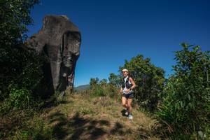 BIB: 
                            <button type="button" onclick="openModal(26576336)" class="btn btn-primary btn-sm float-right btn-popup" data-toggle="modal" data-target=".modal-high-quality">
                        <i class="fas fa-shopping-cart"></i> Add to Cart
                    </button>
                                            <button type="button" onclick="isThisMe(26576336, true)" class="btn btn-success btn-sm float-right btn-popup btn-isme hidden" data-toggle="tooltip" data-placement="bottom" title="นี่คือรูปของคุณใช่ไหม คลิกที่นี่เพื่อเอาเข้าอัลบั้ม">
                        <i class="fas fa-plus"></i> Add to album
                    </button>
                    <button type="button" onclick="isThisMe(26576336, false)" class="btn btn-warning btn-sm float-right btn-popup btn-isnotme hidden">
                        <i class="fas fa-ban"></i> Remove from album
                    </button>