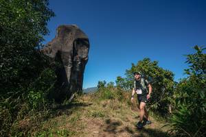 BIB: 
                            <button type="button" onclick="openModal(26578237)" class="btn btn-primary btn-sm float-right btn-popup" data-toggle="modal" data-target=".modal-high-quality">
                        <i class="fas fa-shopping-cart"></i> Add to Cart
                    </button>
                                            <button type="button" onclick="isThisMe(26578237, true)" class="btn btn-success btn-sm float-right btn-popup btn-isme hidden" data-toggle="tooltip" data-placement="bottom" title="นี่คือรูปของคุณใช่ไหม คลิกที่นี่เพื่อเอาเข้าอัลบั้ม">
                        <i class="fas fa-plus"></i> Add to album
                    </button>
                    <button type="button" onclick="isThisMe(26578237, false)" class="btn btn-warning btn-sm float-right btn-popup btn-isnotme hidden">
                        <i class="fas fa-ban"></i> Remove from album
                    </button>