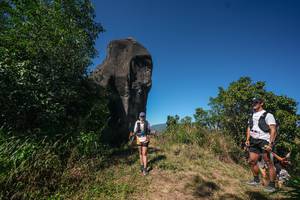 BIB: 
                            <button type="button" onclick="openModal(26578661)" class="btn btn-primary btn-sm float-right btn-popup" data-toggle="modal" data-target=".modal-high-quality">
                        <i class="fas fa-shopping-cart"></i> Add to Cart
                    </button>
                                            <button type="button" onclick="isThisMe(26578661, true)" class="btn btn-success btn-sm float-right btn-popup btn-isme hidden" data-toggle="tooltip" data-placement="bottom" title="นี่คือรูปของคุณใช่ไหม คลิกที่นี่เพื่อเอาเข้าอัลบั้ม">
                        <i class="fas fa-plus"></i> Add to album
                    </button>
                    <button type="button" onclick="isThisMe(26578661, false)" class="btn btn-warning btn-sm float-right btn-popup btn-isnotme hidden">
                        <i class="fas fa-ban"></i> Remove from album
                    </button>