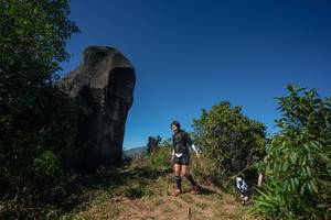 BIB: 
                            <button type="button" onclick="openModal(26583943)" class="btn btn-primary btn-sm float-right btn-popup" data-toggle="modal" data-target=".modal-high-quality">
                        <i class="fas fa-shopping-cart"></i> Add to Cart
                    </button>
                                            <button type="button" onclick="isThisMe(26583943, true)" class="btn btn-success btn-sm float-right btn-popup btn-isme hidden" data-toggle="tooltip" data-placement="bottom" title="นี่คือรูปของคุณใช่ไหม คลิกที่นี่เพื่อเอาเข้าอัลบั้ม">
                        <i class="fas fa-plus"></i> Add to album
                    </button>
                    <button type="button" onclick="isThisMe(26583943, false)" class="btn btn-warning btn-sm float-right btn-popup btn-isnotme hidden">
                        <i class="fas fa-ban"></i> Remove from album
                    </button>