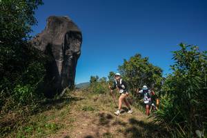 BIB: 
                            <button type="button" onclick="openModal(26578342)" class="btn btn-primary btn-sm float-right btn-popup" data-toggle="modal" data-target=".modal-high-quality">
                        <i class="fas fa-shopping-cart"></i> Add to Cart
                    </button>
                                            <button type="button" onclick="isThisMe(26578342, true)" class="btn btn-success btn-sm float-right btn-popup btn-isme hidden" data-toggle="tooltip" data-placement="bottom" title="นี่คือรูปของคุณใช่ไหม คลิกที่นี่เพื่อเอาเข้าอัลบั้ม">
                        <i class="fas fa-plus"></i> Add to album
                    </button>
                    <button type="button" onclick="isThisMe(26578342, false)" class="btn btn-warning btn-sm float-right btn-popup btn-isnotme hidden">
                        <i class="fas fa-ban"></i> Remove from album
                    </button>