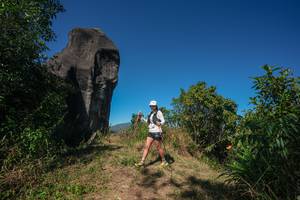 BIB: 
                            <button type="button" onclick="openModal(26578284)" class="btn btn-primary btn-sm float-right btn-popup" data-toggle="modal" data-target=".modal-high-quality">
                        <i class="fas fa-shopping-cart"></i> Add to Cart
                    </button>
                                            <button type="button" onclick="isThisMe(26578284, true)" class="btn btn-success btn-sm float-right btn-popup btn-isme hidden" data-toggle="tooltip" data-placement="bottom" title="นี่คือรูปของคุณใช่ไหม คลิกที่นี่เพื่อเอาเข้าอัลบั้ม">
                        <i class="fas fa-plus"></i> Add to album
                    </button>
                    <button type="button" onclick="isThisMe(26578284, false)" class="btn btn-warning btn-sm float-right btn-popup btn-isnotme hidden">
                        <i class="fas fa-ban"></i> Remove from album
                    </button>