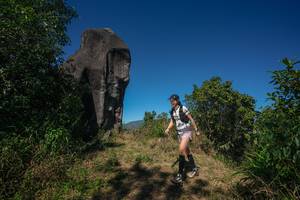 BIB: 
                            <button type="button" onclick="openModal(26576683)" class="btn btn-primary btn-sm float-right btn-popup" data-toggle="modal" data-target=".modal-high-quality">
                        <i class="fas fa-shopping-cart"></i> Add to Cart
                    </button>
                                            <button type="button" onclick="isThisMe(26576683, true)" class="btn btn-success btn-sm float-right btn-popup btn-isme hidden" data-toggle="tooltip" data-placement="bottom" title="นี่คือรูปของคุณใช่ไหม คลิกที่นี่เพื่อเอาเข้าอัลบั้ม">
                        <i class="fas fa-plus"></i> Add to album
                    </button>
                    <button type="button" onclick="isThisMe(26576683, false)" class="btn btn-warning btn-sm float-right btn-popup btn-isnotme hidden">
                        <i class="fas fa-ban"></i> Remove from album
                    </button>