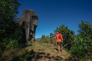 BIB: 
                            <button type="button" onclick="openModal(26575800)" class="btn btn-primary btn-sm float-right btn-popup" data-toggle="modal" data-target=".modal-high-quality">
                        <i class="fas fa-shopping-cart"></i> Add to Cart
                    </button>
                                            <button type="button" onclick="isThisMe(26575800, true)" class="btn btn-success btn-sm float-right btn-popup btn-isme hidden" data-toggle="tooltip" data-placement="bottom" title="นี่คือรูปของคุณใช่ไหม คลิกที่นี่เพื่อเอาเข้าอัลบั้ม">
                        <i class="fas fa-plus"></i> Add to album
                    </button>
                    <button type="button" onclick="isThisMe(26575800, false)" class="btn btn-warning btn-sm float-right btn-popup btn-isnotme hidden">
                        <i class="fas fa-ban"></i> Remove from album
                    </button>