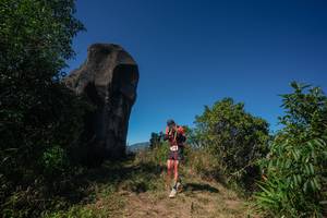 BIB: 
                            <button type="button" onclick="openModal(26584195)" class="btn btn-primary btn-sm float-right btn-popup" data-toggle="modal" data-target=".modal-high-quality">
                        <i class="fas fa-shopping-cart"></i> Add to Cart
                    </button>
                                            <button type="button" onclick="isThisMe(26584195, true)" class="btn btn-success btn-sm float-right btn-popup btn-isme hidden" data-toggle="tooltip" data-placement="bottom" title="นี่คือรูปของคุณใช่ไหม คลิกที่นี่เพื่อเอาเข้าอัลบั้ม">
                        <i class="fas fa-plus"></i> Add to album
                    </button>
                    <button type="button" onclick="isThisMe(26584195, false)" class="btn btn-warning btn-sm float-right btn-popup btn-isnotme hidden">
                        <i class="fas fa-ban"></i> Remove from album
                    </button>