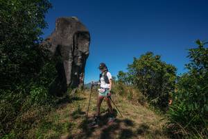 BIB: 
                            <button type="button" onclick="openModal(26576843)" class="btn btn-primary btn-sm float-right btn-popup" data-toggle="modal" data-target=".modal-high-quality">
                        <i class="fas fa-shopping-cart"></i> Add to Cart
                    </button>
                                            <button type="button" onclick="isThisMe(26576843, true)" class="btn btn-success btn-sm float-right btn-popup btn-isme hidden" data-toggle="tooltip" data-placement="bottom" title="นี่คือรูปของคุณใช่ไหม คลิกที่นี่เพื่อเอาเข้าอัลบั้ม">
                        <i class="fas fa-plus"></i> Add to album
                    </button>
                    <button type="button" onclick="isThisMe(26576843, false)" class="btn btn-warning btn-sm float-right btn-popup btn-isnotme hidden">
                        <i class="fas fa-ban"></i> Remove from album
                    </button>