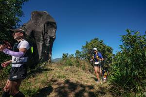 BIB: 
                            <button type="button" onclick="openModal(26577150)" class="btn btn-primary btn-sm float-right btn-popup" data-toggle="modal" data-target=".modal-high-quality">
                        <i class="fas fa-shopping-cart"></i> Add to Cart
                    </button>
                                            <button type="button" onclick="isThisMe(26577150, true)" class="btn btn-success btn-sm float-right btn-popup btn-isme hidden" data-toggle="tooltip" data-placement="bottom" title="นี่คือรูปของคุณใช่ไหม คลิกที่นี่เพื่อเอาเข้าอัลบั้ม">
                        <i class="fas fa-plus"></i> Add to album
                    </button>
                    <button type="button" onclick="isThisMe(26577150, false)" class="btn btn-warning btn-sm float-right btn-popup btn-isnotme hidden">
                        <i class="fas fa-ban"></i> Remove from album
                    </button>