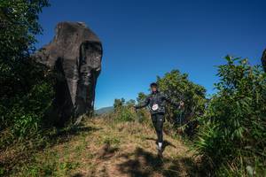 BIB: 
                            <button type="button" onclick="openModal(26577657)" class="btn btn-primary btn-sm float-right btn-popup" data-toggle="modal" data-target=".modal-high-quality">
                        <i class="fas fa-shopping-cart"></i> Add to Cart
                    </button>
                                            <button type="button" onclick="isThisMe(26577657, true)" class="btn btn-success btn-sm float-right btn-popup btn-isme hidden" data-toggle="tooltip" data-placement="bottom" title="นี่คือรูปของคุณใช่ไหม คลิกที่นี่เพื่อเอาเข้าอัลบั้ม">
                        <i class="fas fa-plus"></i> Add to album
                    </button>
                    <button type="button" onclick="isThisMe(26577657, false)" class="btn btn-warning btn-sm float-right btn-popup btn-isnotme hidden">
                        <i class="fas fa-ban"></i> Remove from album
                    </button>