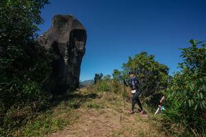 BIB: 
                            <button type="button" onclick="openModal(26581083)" class="btn btn-primary btn-sm float-right btn-popup" data-toggle="modal" data-target=".modal-high-quality">
                        <i class="fas fa-shopping-cart"></i> Add to Cart
                    </button>
                                            <button type="button" onclick="isThisMe(26581083, true)" class="btn btn-success btn-sm float-right btn-popup btn-isme hidden" data-toggle="tooltip" data-placement="bottom" title="นี่คือรูปของคุณใช่ไหม คลิกที่นี่เพื่อเอาเข้าอัลบั้ม">
                        <i class="fas fa-plus"></i> Add to album
                    </button>
                    <button type="button" onclick="isThisMe(26581083, false)" class="btn btn-warning btn-sm float-right btn-popup btn-isnotme hidden">
                        <i class="fas fa-ban"></i> Remove from album
                    </button>