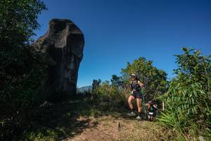 BIB: 
                            <button type="button" onclick="openModal(26588385)" class="btn btn-primary btn-sm float-right btn-popup" data-toggle="modal" data-target=".modal-high-quality">
                        <i class="fas fa-shopping-cart"></i> Add to Cart
                    </button>
                                            <button type="button" onclick="isThisMe(26588385, true)" class="btn btn-success btn-sm float-right btn-popup btn-isme hidden" data-toggle="tooltip" data-placement="bottom" title="นี่คือรูปของคุณใช่ไหม คลิกที่นี่เพื่อเอาเข้าอัลบั้ม">
                        <i class="fas fa-plus"></i> Add to album
                    </button>
                    <button type="button" onclick="isThisMe(26588385, false)" class="btn btn-warning btn-sm float-right btn-popup btn-isnotme hidden">
                        <i class="fas fa-ban"></i> Remove from album
                    </button>