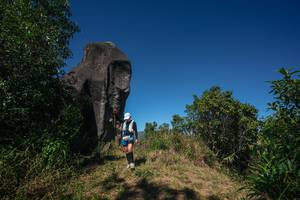 BIB: 
                            <button type="button" onclick="openModal(26576887)" class="btn btn-primary btn-sm float-right btn-popup" data-toggle="modal" data-target=".modal-high-quality">
                        <i class="fas fa-shopping-cart"></i> Add to Cart
                    </button>
                                            <button type="button" onclick="isThisMe(26576887, true)" class="btn btn-success btn-sm float-right btn-popup btn-isme hidden" data-toggle="tooltip" data-placement="bottom" title="นี่คือรูปของคุณใช่ไหม คลิกที่นี่เพื่อเอาเข้าอัลบั้ม">
                        <i class="fas fa-plus"></i> Add to album
                    </button>
                    <button type="button" onclick="isThisMe(26576887, false)" class="btn btn-warning btn-sm float-right btn-popup btn-isnotme hidden">
                        <i class="fas fa-ban"></i> Remove from album
                    </button>