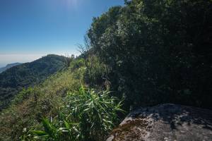 BIB: 
                            <button type="button" onclick="openModal(26572545)" class="btn btn-primary btn-sm float-right btn-popup" data-toggle="modal" data-target=".modal-high-quality">
                        <i class="fas fa-shopping-cart"></i> Add to Cart
                    </button>
                                            <button type="button" onclick="isThisMe(26572545, true)" class="btn btn-success btn-sm float-right btn-popup btn-isme hidden" data-toggle="tooltip" data-placement="bottom" title="นี่คือรูปของคุณใช่ไหม คลิกที่นี่เพื่อเอาเข้าอัลบั้ม">
                        <i class="fas fa-plus"></i> Add to album
                    </button>
                    <button type="button" onclick="isThisMe(26572545, false)" class="btn btn-warning btn-sm float-right btn-popup btn-isnotme hidden">
                        <i class="fas fa-ban"></i> Remove from album
                    </button>