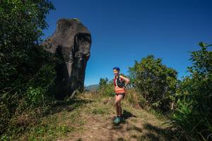 BIB: 
                            <button type="button" onclick="openModal(26578505)" class="btn btn-primary btn-sm float-right btn-popup" data-toggle="modal" data-target=".modal-high-quality">
                        <i class="fas fa-shopping-cart"></i> Add to Cart
                    </button>
                                            <button type="button" onclick="isThisMe(26578505, true)" class="btn btn-success btn-sm float-right btn-popup btn-isme hidden" data-toggle="tooltip" data-placement="bottom" title="นี่คือรูปของคุณใช่ไหม คลิกที่นี่เพื่อเอาเข้าอัลบั้ม">
                        <i class="fas fa-plus"></i> Add to album
                    </button>
                    <button type="button" onclick="isThisMe(26578505, false)" class="btn btn-warning btn-sm float-right btn-popup btn-isnotme hidden">
                        <i class="fas fa-ban"></i> Remove from album
                    </button>