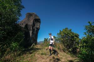 BIB: 
                            <button type="button" onclick="openModal(26578729)" class="btn btn-primary btn-sm float-right btn-popup" data-toggle="modal" data-target=".modal-high-quality">
                        <i class="fas fa-shopping-cart"></i> Add to Cart
                    </button>
                                            <button type="button" onclick="isThisMe(26578729, true)" class="btn btn-success btn-sm float-right btn-popup btn-isme hidden" data-toggle="tooltip" data-placement="bottom" title="นี่คือรูปของคุณใช่ไหม คลิกที่นี่เพื่อเอาเข้าอัลบั้ม">
                        <i class="fas fa-plus"></i> Add to album
                    </button>
                    <button type="button" onclick="isThisMe(26578729, false)" class="btn btn-warning btn-sm float-right btn-popup btn-isnotme hidden">
                        <i class="fas fa-ban"></i> Remove from album
                    </button>