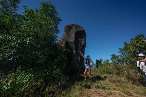 BIB: 
                            <button type="button" onclick="openModal(26582187)" class="btn btn-primary btn-sm float-right btn-popup" data-toggle="modal" data-target=".modal-high-quality">
                        <i class="fas fa-shopping-cart"></i> Add to Cart
                    </button>
                                            <button type="button" onclick="isThisMe(26582187, true)" class="btn btn-success btn-sm float-right btn-popup btn-isme hidden" data-toggle="tooltip" data-placement="bottom" title="นี่คือรูปของคุณใช่ไหม คลิกที่นี่เพื่อเอาเข้าอัลบั้ม">
                        <i class="fas fa-plus"></i> Add to album
                    </button>
                    <button type="button" onclick="isThisMe(26582187, false)" class="btn btn-warning btn-sm float-right btn-popup btn-isnotme hidden">
                        <i class="fas fa-ban"></i> Remove from album
                    </button>