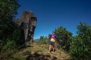 BIB: 
                            <button type="button" onclick="openModal(26576555)" class="btn btn-primary btn-sm float-right btn-popup" data-toggle="modal" data-target=".modal-high-quality">
                        <i class="fas fa-shopping-cart"></i> Add to Cart
                    </button>
                                            <button type="button" onclick="isThisMe(26576555, true)" class="btn btn-success btn-sm float-right btn-popup btn-isme hidden" data-toggle="tooltip" data-placement="bottom" title="นี่คือรูปของคุณใช่ไหม คลิกที่นี่เพื่อเอาเข้าอัลบั้ม">
                        <i class="fas fa-plus"></i> Add to album
                    </button>
                    <button type="button" onclick="isThisMe(26576555, false)" class="btn btn-warning btn-sm float-right btn-popup btn-isnotme hidden">
                        <i class="fas fa-ban"></i> Remove from album
                    </button>