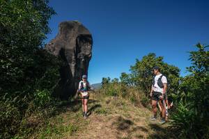 BIB: 
                            <button type="button" onclick="openModal(26578667)" class="btn btn-primary btn-sm float-right btn-popup" data-toggle="modal" data-target=".modal-high-quality">
                        <i class="fas fa-shopping-cart"></i> Add to Cart
                    </button>
                                            <button type="button" onclick="isThisMe(26578667, true)" class="btn btn-success btn-sm float-right btn-popup btn-isme hidden" data-toggle="tooltip" data-placement="bottom" title="นี่คือรูปของคุณใช่ไหม คลิกที่นี่เพื่อเอาเข้าอัลบั้ม">
                        <i class="fas fa-plus"></i> Add to album
                    </button>
                    <button type="button" onclick="isThisMe(26578667, false)" class="btn btn-warning btn-sm float-right btn-popup btn-isnotme hidden">
                        <i class="fas fa-ban"></i> Remove from album
                    </button>