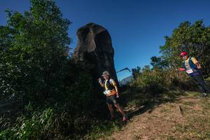 BIB: 
                            <button type="button" onclick="openModal(26587427)" class="btn btn-primary btn-sm float-right btn-popup" data-toggle="modal" data-target=".modal-high-quality">
                        <i class="fas fa-shopping-cart"></i> Add to Cart
                    </button>
                                            <button type="button" onclick="isThisMe(26587427, true)" class="btn btn-success btn-sm float-right btn-popup btn-isme hidden" data-toggle="tooltip" data-placement="bottom" title="นี่คือรูปของคุณใช่ไหม คลิกที่นี่เพื่อเอาเข้าอัลบั้ม">
                        <i class="fas fa-plus"></i> Add to album
                    </button>
                    <button type="button" onclick="isThisMe(26587427, false)" class="btn btn-warning btn-sm float-right btn-popup btn-isnotme hidden">
                        <i class="fas fa-ban"></i> Remove from album
                    </button>