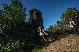 BIB: 
                            <button type="button" onclick="openModal(26587424)" class="btn btn-primary btn-sm float-right btn-popup" data-toggle="modal" data-target=".modal-high-quality">
                        <i class="fas fa-shopping-cart"></i> Add to Cart
                    </button>
                                            <button type="button" onclick="isThisMe(26587424, true)" class="btn btn-success btn-sm float-right btn-popup btn-isme hidden" data-toggle="tooltip" data-placement="bottom" title="นี่คือรูปของคุณใช่ไหม คลิกที่นี่เพื่อเอาเข้าอัลบั้ม">
                        <i class="fas fa-plus"></i> Add to album
                    </button>
                    <button type="button" onclick="isThisMe(26587424, false)" class="btn btn-warning btn-sm float-right btn-popup btn-isnotme hidden">
                        <i class="fas fa-ban"></i> Remove from album
                    </button>