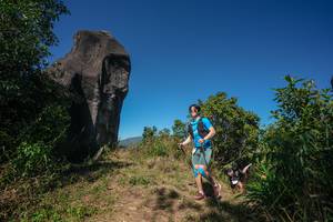 BIB: 
                            <button type="button" onclick="openModal(26578424)" class="btn btn-primary btn-sm float-right btn-popup" data-toggle="modal" data-target=".modal-high-quality">
                        <i class="fas fa-shopping-cart"></i> Add to Cart
                    </button>
                                            <button type="button" onclick="isThisMe(26578424, true)" class="btn btn-success btn-sm float-right btn-popup btn-isme hidden" data-toggle="tooltip" data-placement="bottom" title="นี่คือรูปของคุณใช่ไหม คลิกที่นี่เพื่อเอาเข้าอัลบั้ม">
                        <i class="fas fa-plus"></i> Add to album
                    </button>
                    <button type="button" onclick="isThisMe(26578424, false)" class="btn btn-warning btn-sm float-right btn-popup btn-isnotme hidden">
                        <i class="fas fa-ban"></i> Remove from album
                    </button>