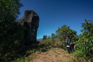 BIB: 
                            <button type="button" onclick="openModal(26585212)" class="btn btn-primary btn-sm float-right btn-popup" data-toggle="modal" data-target=".modal-high-quality">
                        <i class="fas fa-shopping-cart"></i> Add to Cart
                    </button>
                                            <button type="button" onclick="isThisMe(26585212, true)" class="btn btn-success btn-sm float-right btn-popup btn-isme hidden" data-toggle="tooltip" data-placement="bottom" title="นี่คือรูปของคุณใช่ไหม คลิกที่นี่เพื่อเอาเข้าอัลบั้ม">
                        <i class="fas fa-plus"></i> Add to album
                    </button>
                    <button type="button" onclick="isThisMe(26585212, false)" class="btn btn-warning btn-sm float-right btn-popup btn-isnotme hidden">
                        <i class="fas fa-ban"></i> Remove from album
                    </button>