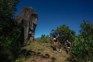 BIB: 
                            <button type="button" onclick="openModal(26574603)" class="btn btn-primary btn-sm float-right btn-popup" data-toggle="modal" data-target=".modal-high-quality">
                        <i class="fas fa-shopping-cart"></i> Add to Cart
                    </button>
                                            <button type="button" onclick="isThisMe(26574603, true)" class="btn btn-success btn-sm float-right btn-popup btn-isme hidden" data-toggle="tooltip" data-placement="bottom" title="นี่คือรูปของคุณใช่ไหม คลิกที่นี่เพื่อเอาเข้าอัลบั้ม">
                        <i class="fas fa-plus"></i> Add to album
                    </button>
                    <button type="button" onclick="isThisMe(26574603, false)" class="btn btn-warning btn-sm float-right btn-popup btn-isnotme hidden">
                        <i class="fas fa-ban"></i> Remove from album
                    </button>