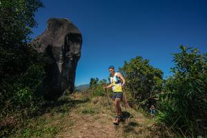 BIB: 
                            <button type="button" onclick="openModal(26579320)" class="btn btn-primary btn-sm float-right btn-popup" data-toggle="modal" data-target=".modal-high-quality">
                        <i class="fas fa-shopping-cart"></i> Add to Cart
                    </button>
                                            <button type="button" onclick="isThisMe(26579320, true)" class="btn btn-success btn-sm float-right btn-popup btn-isme hidden" data-toggle="tooltip" data-placement="bottom" title="นี่คือรูปของคุณใช่ไหม คลิกที่นี่เพื่อเอาเข้าอัลบั้ม">
                        <i class="fas fa-plus"></i> Add to album
                    </button>
                    <button type="button" onclick="isThisMe(26579320, false)" class="btn btn-warning btn-sm float-right btn-popup btn-isnotme hidden">
                        <i class="fas fa-ban"></i> Remove from album
                    </button>