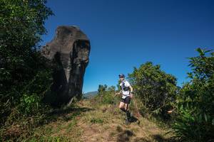 BIB: 
                            <button type="button" onclick="openModal(26578727)" class="btn btn-primary btn-sm float-right btn-popup" data-toggle="modal" data-target=".modal-high-quality">
                        <i class="fas fa-shopping-cart"></i> Add to Cart
                    </button>
                                            <button type="button" onclick="isThisMe(26578727, true)" class="btn btn-success btn-sm float-right btn-popup btn-isme hidden" data-toggle="tooltip" data-placement="bottom" title="นี่คือรูปของคุณใช่ไหม คลิกที่นี่เพื่อเอาเข้าอัลบั้ม">
                        <i class="fas fa-plus"></i> Add to album
                    </button>
                    <button type="button" onclick="isThisMe(26578727, false)" class="btn btn-warning btn-sm float-right btn-popup btn-isnotme hidden">
                        <i class="fas fa-ban"></i> Remove from album
                    </button>