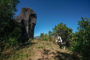 BIB: 
                            <button type="button" onclick="openModal(26578252)" class="btn btn-primary btn-sm float-right btn-popup" data-toggle="modal" data-target=".modal-high-quality">
                        <i class="fas fa-shopping-cart"></i> Add to Cart
                    </button>
                                            <button type="button" onclick="isThisMe(26578252, true)" class="btn btn-success btn-sm float-right btn-popup btn-isme hidden" data-toggle="tooltip" data-placement="bottom" title="นี่คือรูปของคุณใช่ไหม คลิกที่นี่เพื่อเอาเข้าอัลบั้ม">
                        <i class="fas fa-plus"></i> Add to album
                    </button>
                    <button type="button" onclick="isThisMe(26578252, false)" class="btn btn-warning btn-sm float-right btn-popup btn-isnotme hidden">
                        <i class="fas fa-ban"></i> Remove from album
                    </button>