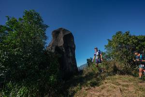 BIB: 
                            <button type="button" onclick="openModal(26585055)" class="btn btn-primary btn-sm float-right btn-popup" data-toggle="modal" data-target=".modal-high-quality">
                        <i class="fas fa-shopping-cart"></i> Add to Cart
                    </button>
                                            <button type="button" onclick="isThisMe(26585055, true)" class="btn btn-success btn-sm float-right btn-popup btn-isme hidden" data-toggle="tooltip" data-placement="bottom" title="นี่คือรูปของคุณใช่ไหม คลิกที่นี่เพื่อเอาเข้าอัลบั้ม">
                        <i class="fas fa-plus"></i> Add to album
                    </button>
                    <button type="button" onclick="isThisMe(26585055, false)" class="btn btn-warning btn-sm float-right btn-popup btn-isnotme hidden">
                        <i class="fas fa-ban"></i> Remove from album
                    </button>