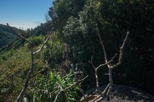 BIB: 
                            <button type="button" onclick="openModal(26572591)" class="btn btn-primary btn-sm float-right btn-popup" data-toggle="modal" data-target=".modal-high-quality">
                        <i class="fas fa-shopping-cart"></i> Add to Cart
                    </button>
                                            <button type="button" onclick="isThisMe(26572591, true)" class="btn btn-success btn-sm float-right btn-popup btn-isme hidden" data-toggle="tooltip" data-placement="bottom" title="นี่คือรูปของคุณใช่ไหม คลิกที่นี่เพื่อเอาเข้าอัลบั้ม">
                        <i class="fas fa-plus"></i> Add to album
                    </button>
                    <button type="button" onclick="isThisMe(26572591, false)" class="btn btn-warning btn-sm float-right btn-popup btn-isnotme hidden">
                        <i class="fas fa-ban"></i> Remove from album
                    </button>