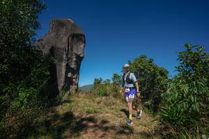 BIB: 
                            <button type="button" onclick="openModal(26575647)" class="btn btn-primary btn-sm float-right btn-popup" data-toggle="modal" data-target=".modal-high-quality">
                        <i class="fas fa-shopping-cart"></i> Add to Cart
                    </button>
                                            <button type="button" onclick="isThisMe(26575647, true)" class="btn btn-success btn-sm float-right btn-popup btn-isme hidden" data-toggle="tooltip" data-placement="bottom" title="นี่คือรูปของคุณใช่ไหม คลิกที่นี่เพื่อเอาเข้าอัลบั้ม">
                        <i class="fas fa-plus"></i> Add to album
                    </button>
                    <button type="button" onclick="isThisMe(26575647, false)" class="btn btn-warning btn-sm float-right btn-popup btn-isnotme hidden">
                        <i class="fas fa-ban"></i> Remove from album
                    </button>