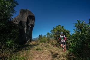 BIB: 
                            <button type="button" onclick="openModal(26579080)" class="btn btn-primary btn-sm float-right btn-popup" data-toggle="modal" data-target=".modal-high-quality">
                        <i class="fas fa-shopping-cart"></i> Add to Cart
                    </button>
                                            <button type="button" onclick="isThisMe(26579080, true)" class="btn btn-success btn-sm float-right btn-popup btn-isme hidden" data-toggle="tooltip" data-placement="bottom" title="นี่คือรูปของคุณใช่ไหม คลิกที่นี่เพื่อเอาเข้าอัลบั้ม">
                        <i class="fas fa-plus"></i> Add to album
                    </button>
                    <button type="button" onclick="isThisMe(26579080, false)" class="btn btn-warning btn-sm float-right btn-popup btn-isnotme hidden">
                        <i class="fas fa-ban"></i> Remove from album
                    </button>