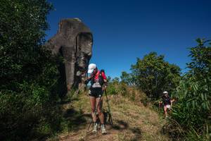 BIB: 
                            <button type="button" onclick="openModal(26574994)" class="btn btn-primary btn-sm float-right btn-popup" data-toggle="modal" data-target=".modal-high-quality">
                        <i class="fas fa-shopping-cart"></i> Add to Cart
                    </button>
                                            <button type="button" onclick="isThisMe(26574994, true)" class="btn btn-success btn-sm float-right btn-popup btn-isme hidden" data-toggle="tooltip" data-placement="bottom" title="นี่คือรูปของคุณใช่ไหม คลิกที่นี่เพื่อเอาเข้าอัลบั้ม">
                        <i class="fas fa-plus"></i> Add to album
                    </button>
                    <button type="button" onclick="isThisMe(26574994, false)" class="btn btn-warning btn-sm float-right btn-popup btn-isnotme hidden">
                        <i class="fas fa-ban"></i> Remove from album
                    </button>