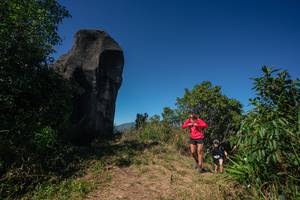 BIB: 
                            <button type="button" onclick="openModal(26583827)" class="btn btn-primary btn-sm float-right btn-popup" data-toggle="modal" data-target=".modal-high-quality">
                        <i class="fas fa-shopping-cart"></i> Add to Cart
                    </button>
                                            <button type="button" onclick="isThisMe(26583827, true)" class="btn btn-success btn-sm float-right btn-popup btn-isme hidden" data-toggle="tooltip" data-placement="bottom" title="นี่คือรูปของคุณใช่ไหม คลิกที่นี่เพื่อเอาเข้าอัลบั้ม">
                        <i class="fas fa-plus"></i> Add to album
                    </button>
                    <button type="button" onclick="isThisMe(26583827, false)" class="btn btn-warning btn-sm float-right btn-popup btn-isnotme hidden">
                        <i class="fas fa-ban"></i> Remove from album
                    </button>