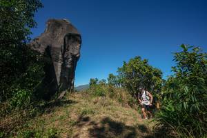 BIB: 
                            <button type="button" onclick="openModal(26577431)" class="btn btn-primary btn-sm float-right btn-popup" data-toggle="modal" data-target=".modal-high-quality">
                        <i class="fas fa-shopping-cart"></i> Add to Cart
                    </button>
                                            <button type="button" onclick="isThisMe(26577431, true)" class="btn btn-success btn-sm float-right btn-popup btn-isme hidden" data-toggle="tooltip" data-placement="bottom" title="นี่คือรูปของคุณใช่ไหม คลิกที่นี่เพื่อเอาเข้าอัลบั้ม">
                        <i class="fas fa-plus"></i> Add to album
                    </button>
                    <button type="button" onclick="isThisMe(26577431, false)" class="btn btn-warning btn-sm float-right btn-popup btn-isnotme hidden">
                        <i class="fas fa-ban"></i> Remove from album
                    </button>