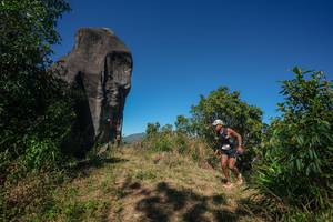 BIB: 
                            <button type="button" onclick="openModal(26577197)" class="btn btn-primary btn-sm float-right btn-popup" data-toggle="modal" data-target=".modal-high-quality">
                        <i class="fas fa-shopping-cart"></i> Add to Cart
                    </button>
                                            <button type="button" onclick="isThisMe(26577197, true)" class="btn btn-success btn-sm float-right btn-popup btn-isme hidden" data-toggle="tooltip" data-placement="bottom" title="นี่คือรูปของคุณใช่ไหม คลิกที่นี่เพื่อเอาเข้าอัลบั้ม">
                        <i class="fas fa-plus"></i> Add to album
                    </button>
                    <button type="button" onclick="isThisMe(26577197, false)" class="btn btn-warning btn-sm float-right btn-popup btn-isnotme hidden">
                        <i class="fas fa-ban"></i> Remove from album
                    </button>