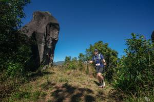 BIB: 
                            <button type="button" onclick="openModal(26577015)" class="btn btn-primary btn-sm float-right btn-popup" data-toggle="modal" data-target=".modal-high-quality">
                        <i class="fas fa-shopping-cart"></i> Add to Cart
                    </button>
                                            <button type="button" onclick="isThisMe(26577015, true)" class="btn btn-success btn-sm float-right btn-popup btn-isme hidden" data-toggle="tooltip" data-placement="bottom" title="นี่คือรูปของคุณใช่ไหม คลิกที่นี่เพื่อเอาเข้าอัลบั้ม">
                        <i class="fas fa-plus"></i> Add to album
                    </button>
                    <button type="button" onclick="isThisMe(26577015, false)" class="btn btn-warning btn-sm float-right btn-popup btn-isnotme hidden">
                        <i class="fas fa-ban"></i> Remove from album
                    </button>