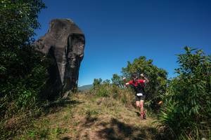 BIB: 
                            <button type="button" onclick="openModal(26577666)" class="btn btn-primary btn-sm float-right btn-popup" data-toggle="modal" data-target=".modal-high-quality">
                        <i class="fas fa-shopping-cart"></i> Add to Cart
                    </button>
                                            <button type="button" onclick="isThisMe(26577666, true)" class="btn btn-success btn-sm float-right btn-popup btn-isme hidden" data-toggle="tooltip" data-placement="bottom" title="นี่คือรูปของคุณใช่ไหม คลิกที่นี่เพื่อเอาเข้าอัลบั้ม">
                        <i class="fas fa-plus"></i> Add to album
                    </button>
                    <button type="button" onclick="isThisMe(26577666, false)" class="btn btn-warning btn-sm float-right btn-popup btn-isnotme hidden">
                        <i class="fas fa-ban"></i> Remove from album
                    </button>