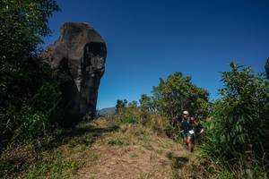 BIB: 
                            <button type="button" onclick="openModal(26579650)" class="btn btn-primary btn-sm float-right btn-popup" data-toggle="modal" data-target=".modal-high-quality">
                        <i class="fas fa-shopping-cart"></i> Add to Cart
                    </button>
                                            <button type="button" onclick="isThisMe(26579650, true)" class="btn btn-success btn-sm float-right btn-popup btn-isme hidden" data-toggle="tooltip" data-placement="bottom" title="นี่คือรูปของคุณใช่ไหม คลิกที่นี่เพื่อเอาเข้าอัลบั้ม">
                        <i class="fas fa-plus"></i> Add to album
                    </button>
                    <button type="button" onclick="isThisMe(26579650, false)" class="btn btn-warning btn-sm float-right btn-popup btn-isnotme hidden">
                        <i class="fas fa-ban"></i> Remove from album
                    </button>