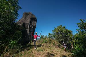 BIB: 
                            <button type="button" onclick="openModal(26578636)" class="btn btn-primary btn-sm float-right btn-popup" data-toggle="modal" data-target=".modal-high-quality">
                        <i class="fas fa-shopping-cart"></i> Add to Cart
                    </button>
                                            <button type="button" onclick="isThisMe(26578636, true)" class="btn btn-success btn-sm float-right btn-popup btn-isme hidden" data-toggle="tooltip" data-placement="bottom" title="นี่คือรูปของคุณใช่ไหม คลิกที่นี่เพื่อเอาเข้าอัลบั้ม">
                        <i class="fas fa-plus"></i> Add to album
                    </button>
                    <button type="button" onclick="isThisMe(26578636, false)" class="btn btn-warning btn-sm float-right btn-popup btn-isnotme hidden">
                        <i class="fas fa-ban"></i> Remove from album
                    </button>