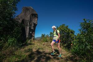 BIB: 
                            <button type="button" onclick="openModal(26576603)" class="btn btn-primary btn-sm float-right btn-popup" data-toggle="modal" data-target=".modal-high-quality">
                        <i class="fas fa-shopping-cart"></i> Add to Cart
                    </button>
                                            <button type="button" onclick="isThisMe(26576603, true)" class="btn btn-success btn-sm float-right btn-popup btn-isme hidden" data-toggle="tooltip" data-placement="bottom" title="นี่คือรูปของคุณใช่ไหม คลิกที่นี่เพื่อเอาเข้าอัลบั้ม">
                        <i class="fas fa-plus"></i> Add to album
                    </button>
                    <button type="button" onclick="isThisMe(26576603, false)" class="btn btn-warning btn-sm float-right btn-popup btn-isnotme hidden">
                        <i class="fas fa-ban"></i> Remove from album
                    </button>