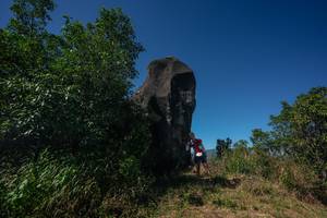 BIB: 
                            <button type="button" onclick="openModal(26582098)" class="btn btn-primary btn-sm float-right btn-popup" data-toggle="modal" data-target=".modal-high-quality">
                        <i class="fas fa-shopping-cart"></i> Add to Cart
                    </button>
                                            <button type="button" onclick="isThisMe(26582098, true)" class="btn btn-success btn-sm float-right btn-popup btn-isme hidden" data-toggle="tooltip" data-placement="bottom" title="นี่คือรูปของคุณใช่ไหม คลิกที่นี่เพื่อเอาเข้าอัลบั้ม">
                        <i class="fas fa-plus"></i> Add to album
                    </button>
                    <button type="button" onclick="isThisMe(26582098, false)" class="btn btn-warning btn-sm float-right btn-popup btn-isnotme hidden">
                        <i class="fas fa-ban"></i> Remove from album
                    </button>