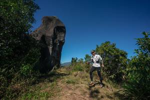 BIB: 
                            <button type="button" onclick="openModal(26578925)" class="btn btn-primary btn-sm float-right btn-popup" data-toggle="modal" data-target=".modal-high-quality">
                        <i class="fas fa-shopping-cart"></i> Add to Cart
                    </button>
                                            <button type="button" onclick="isThisMe(26578925, true)" class="btn btn-success btn-sm float-right btn-popup btn-isme hidden" data-toggle="tooltip" data-placement="bottom" title="นี่คือรูปของคุณใช่ไหม คลิกที่นี่เพื่อเอาเข้าอัลบั้ม">
                        <i class="fas fa-plus"></i> Add to album
                    </button>
                    <button type="button" onclick="isThisMe(26578925, false)" class="btn btn-warning btn-sm float-right btn-popup btn-isnotme hidden">
                        <i class="fas fa-ban"></i> Remove from album
                    </button>