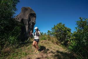 BIB: 
                            <button type="button" onclick="openModal(26578288)" class="btn btn-primary btn-sm float-right btn-popup" data-toggle="modal" data-target=".modal-high-quality">
                        <i class="fas fa-shopping-cart"></i> Add to Cart
                    </button>
                                            <button type="button" onclick="isThisMe(26578288, true)" class="btn btn-success btn-sm float-right btn-popup btn-isme hidden" data-toggle="tooltip" data-placement="bottom" title="นี่คือรูปของคุณใช่ไหม คลิกที่นี่เพื่อเอาเข้าอัลบั้ม">
                        <i class="fas fa-plus"></i> Add to album
                    </button>
                    <button type="button" onclick="isThisMe(26578288, false)" class="btn btn-warning btn-sm float-right btn-popup btn-isnotme hidden">
                        <i class="fas fa-ban"></i> Remove from album
                    </button>