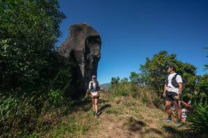 BIB: 
                            <button type="button" onclick="openModal(26578663)" class="btn btn-primary btn-sm float-right btn-popup" data-toggle="modal" data-target=".modal-high-quality">
                        <i class="fas fa-shopping-cart"></i> Add to Cart
                    </button>
                                            <button type="button" onclick="isThisMe(26578663, true)" class="btn btn-success btn-sm float-right btn-popup btn-isme hidden" data-toggle="tooltip" data-placement="bottom" title="นี่คือรูปของคุณใช่ไหม คลิกที่นี่เพื่อเอาเข้าอัลบั้ม">
                        <i class="fas fa-plus"></i> Add to album
                    </button>
                    <button type="button" onclick="isThisMe(26578663, false)" class="btn btn-warning btn-sm float-right btn-popup btn-isnotme hidden">
                        <i class="fas fa-ban"></i> Remove from album
                    </button>