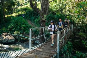 BIB: 
                            <button type="button" onclick="openModal(26719923)" class="btn btn-primary btn-sm float-right btn-popup" data-toggle="modal" data-target=".modal-high-quality">
                        <i class="fas fa-shopping-cart"></i> Add to Cart
                    </button>
                                            <button type="button" onclick="isThisMe(26719923, true)" class="btn btn-success btn-sm float-right btn-popup btn-isme hidden" data-toggle="tooltip" data-placement="bottom" title="นี่คือรูปของคุณใช่ไหม คลิกที่นี่เพื่อเอาเข้าอัลบั้ม">
                        <i class="fas fa-plus"></i> Add to album
                    </button>
                    <button type="button" onclick="isThisMe(26719923, false)" class="btn btn-warning btn-sm float-right btn-popup btn-isnotme hidden">
                        <i class="fas fa-ban"></i> Remove from album
                    </button>