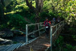 BIB: 
                            <button type="button" onclick="openModal(26726755)" class="btn btn-primary btn-sm float-right btn-popup" data-toggle="modal" data-target=".modal-high-quality">
                        <i class="fas fa-shopping-cart"></i> Add to Cart
                    </button>
                                            <button type="button" onclick="isThisMe(26726755, true)" class="btn btn-success btn-sm float-right btn-popup btn-isme hidden" data-toggle="tooltip" data-placement="bottom" title="นี่คือรูปของคุณใช่ไหม คลิกที่นี่เพื่อเอาเข้าอัลบั้ม">
                        <i class="fas fa-plus"></i> Add to album
                    </button>
                    <button type="button" onclick="isThisMe(26726755, false)" class="btn btn-warning btn-sm float-right btn-popup btn-isnotme hidden">
                        <i class="fas fa-ban"></i> Remove from album
                    </button>