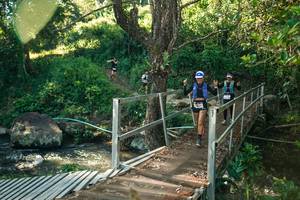 BIB: 
                            <button type="button" onclick="openModal(26709988)" class="btn btn-primary btn-sm float-right btn-popup" data-toggle="modal" data-target=".modal-high-quality">
                        <i class="fas fa-shopping-cart"></i> Add to Cart
                    </button>
                                            <button type="button" onclick="isThisMe(26709988, true)" class="btn btn-success btn-sm float-right btn-popup btn-isme hidden" data-toggle="tooltip" data-placement="bottom" title="นี่คือรูปของคุณใช่ไหม คลิกที่นี่เพื่อเอาเข้าอัลบั้ม">
                        <i class="fas fa-plus"></i> Add to album
                    </button>
                    <button type="button" onclick="isThisMe(26709988, false)" class="btn btn-warning btn-sm float-right btn-popup btn-isnotme hidden">
                        <i class="fas fa-ban"></i> Remove from album
                    </button>